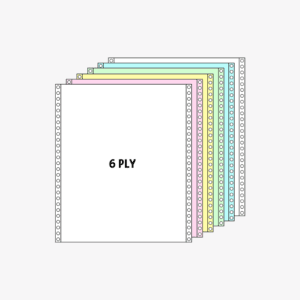 6 PLY
