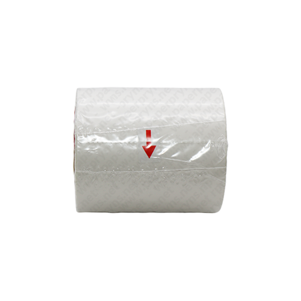 Paperpryns Direct Thermal Sticker Roll 100mm × 150mm Isi 300 Pcs — detail